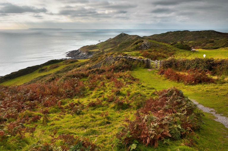 Coastal Path, Devon